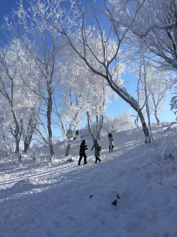Songhua Lake Qingshan Snow View Apartment Jilin Extérieur photo