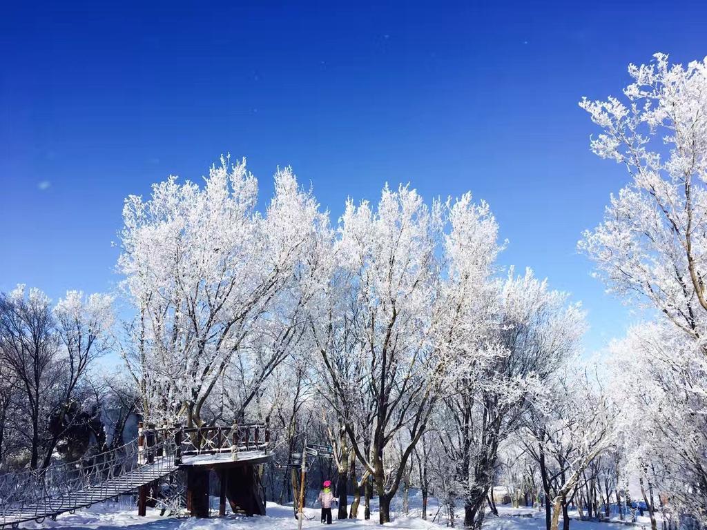 Songhua Lake Qingshan Snow View Apartment Jilin Extérieur photo